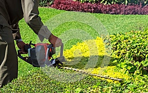 A man trimming shrub with Hedge Trimmer