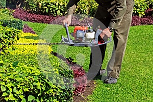 A man trimming shrub with Hedge Trimmer