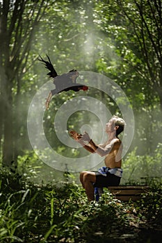 Man trowing Thai gamecock for traning. FitnessThai gamecock.