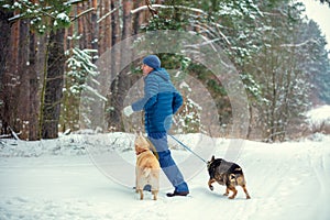 A man with two dogs on leashes walking in winter forest