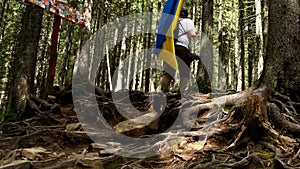 Man with Ukrainian flag walking by forest trail in Carpathian mountains