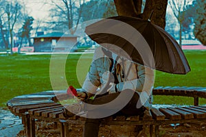 Man with umbrella sits under tree, holds red flower on park bench, rainy spring