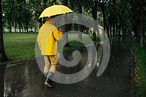 Man with umbrella walking in park in rainy day