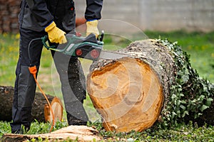 A man in uniform cuts an old tree in the yard with an electric saw