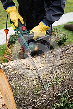 A man in uniform cuts an old tree in the yard with an electric saw