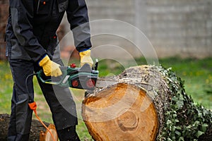 A man in uniform cuts an old tree in the yard with an electric saw