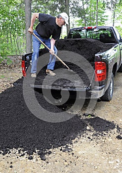 Man unloading compost