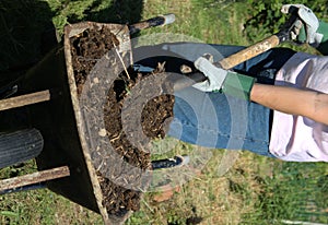 Man unloading compost from a wheelbarrow