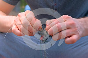 Man untangles a fishing line and hooks preparing to fishing, hands closeup.