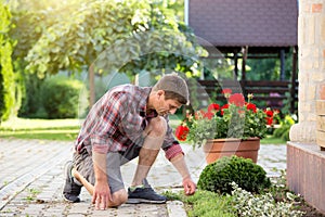 Man uproot weed from ground in garden