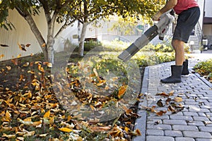 Man uses a blower, a vacuum cleaner works in an autumn garden, blowing off fallen leaves from a garden path