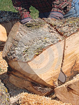 Man using chainsaw to cut log