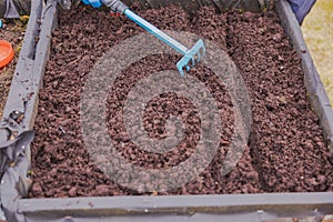 Man using garden rake to smooth the soil in garden bed after planting radish seeds in early spring.