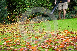 A man using a leaf blower machine to clear autumn leaves from a garden during fall