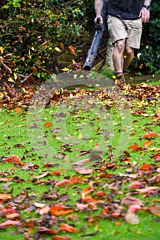 A man using a leaf blower machine to clear autumn leaves from a garden during fall