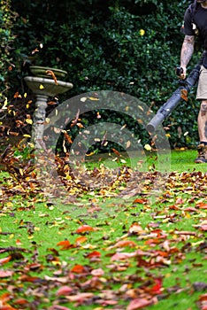 A man using a leaf blower machine to clear autumn leaves from a garden during fall