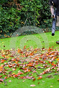 A man using a leaf blower machine to clear autumn leaves from a garden during fall