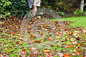 A man using a leaf blower machine to clear autumn leaves from a garden during fall