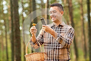 man using smartphone to identify mushroom