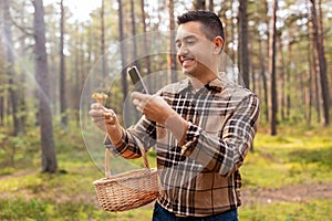 man using smartphone to identify mushroom