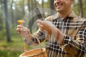 man using smartphone to identify mushroom