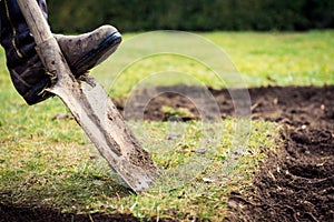 Man using spade for old lawn digging, gardening concept