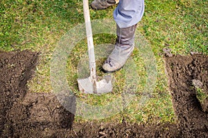 Man using spade for old lawn digging, gardening concept