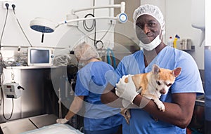 Man veterinarian holding a small dog in a veterinary clinic
