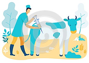 Man Veterinarian with Syringe Inject Cow. Vector. photo