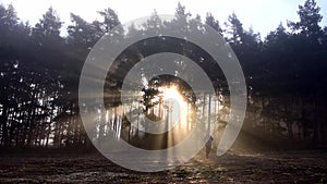 Man walk alone on a foggy forest with autumn season.