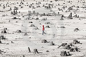Man walk alone in the post apocalypse landscape photo