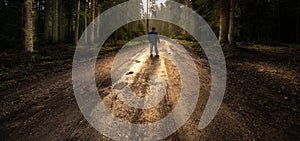 Man walk on a dirt road in a forest among tall green trees illuminated by the sunrise sun