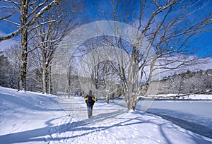 Man walking alone in snowy park.