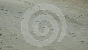 Man walking Alone On A White Sandy Beach With Rocks Dry