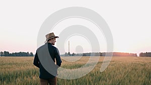 A man is walking along a green field at sunset. Browse agricultural products. The farmer walks through the green field