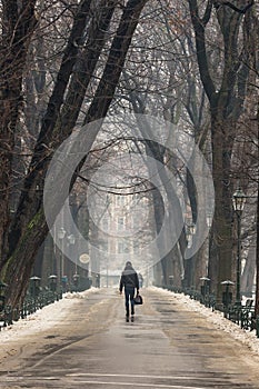 Man walking along path surrounded by trees, in winter, carrying a bag.