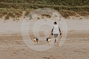 Man walking on beach with 2 dogs