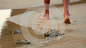 Man Walking On A Beach With Rock Pools