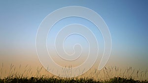 Man Walking in Blowing Grass Silhouette