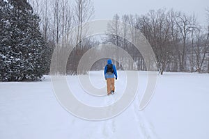 Man walking in the city park during heavy snowstorm, Toronto, Ontario, Canada.