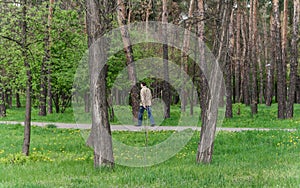 Man walking in a city park in spring, trees, green grass with br