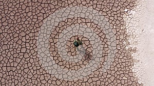 A man is walking on cracked parched lands. Aerial view