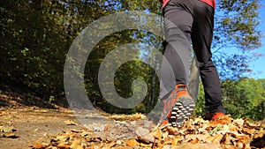 Man walking cross country trail in autumn forest