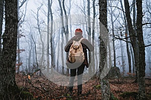 Man walking on a dark path through a spooky forest
