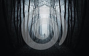 Man walking on a dark path in a strange dark forest with fog