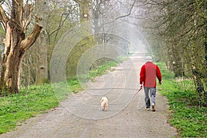 Man walking dog photo