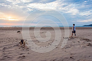 Man Walking With Dog In Beach