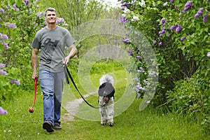 Man walking dog in countryside