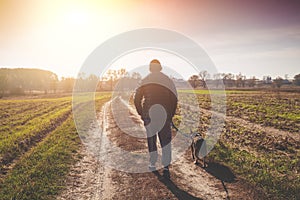Man walking with a dog in the field at sunset