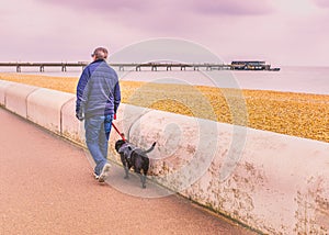 Man walking a dog with a read leashed harness along the promenade in winter at the seafront in Deal, Kent, Uk.